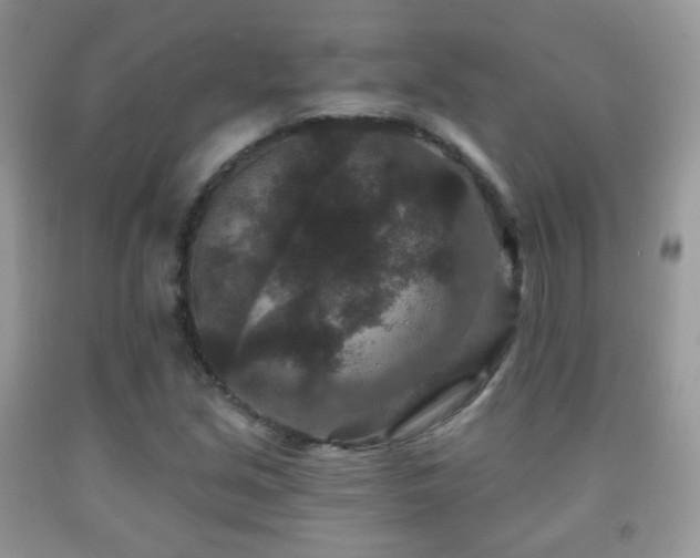 X0000091951213200709061233