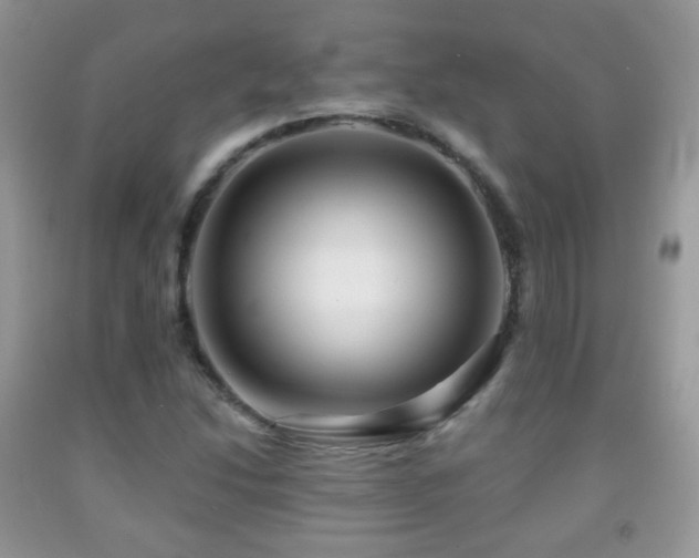 X0000091951214200709061233