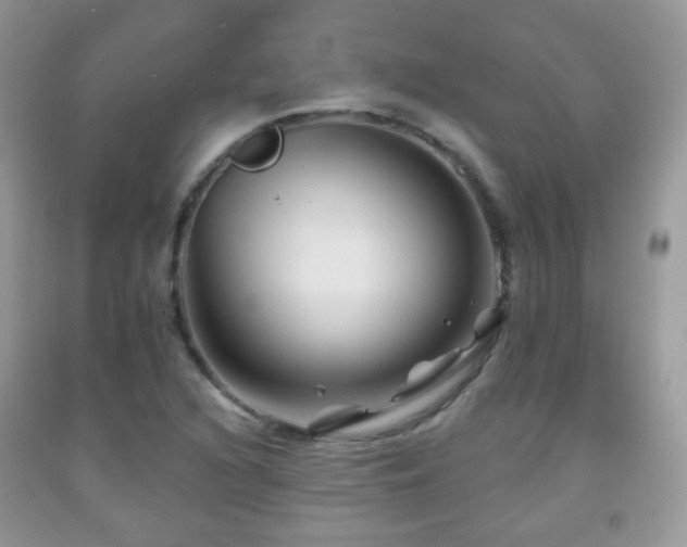 X0000091951216200709061233