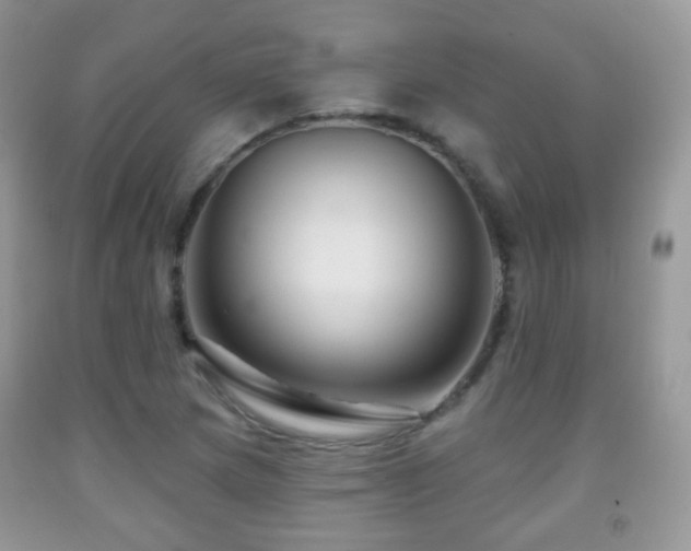 X0000091951217200709061233
