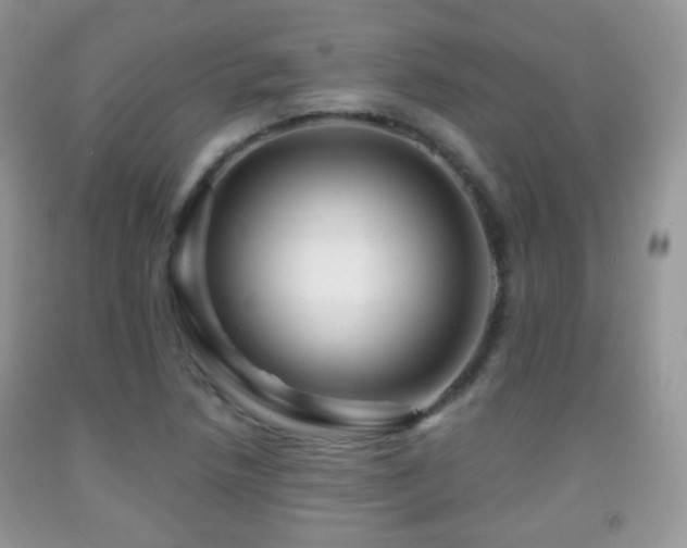 X0000091951218200709061233