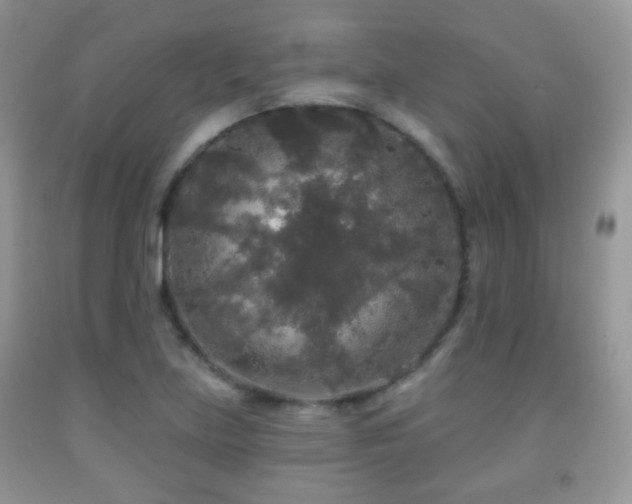 X0000091951219200709061233
