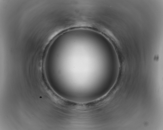 X0000091951220200709061233