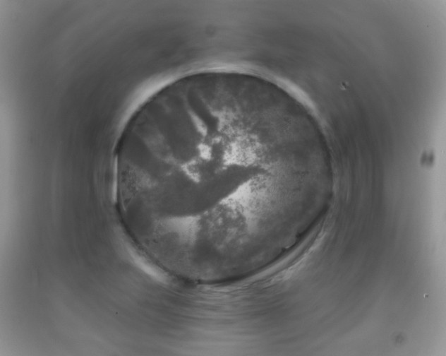 X0000091951223200709061234
