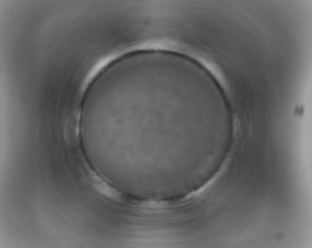 X0000091951224200709061234