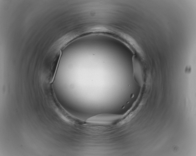 X0000091951225200709061234