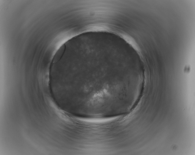 X0000091951226200709061234
