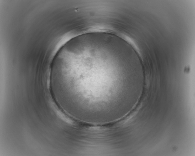 X0000091951227200709061234