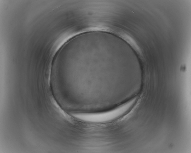 X0000091951228200709061234