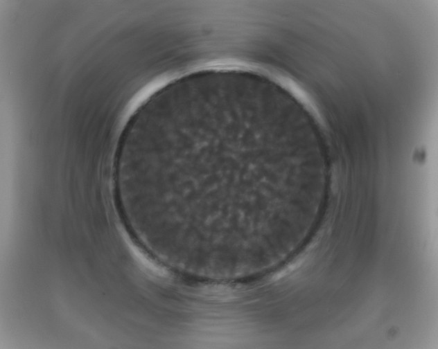 X0000091951229200709061234