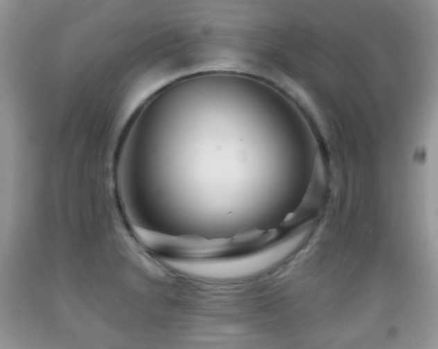 X0000091951230200709061234