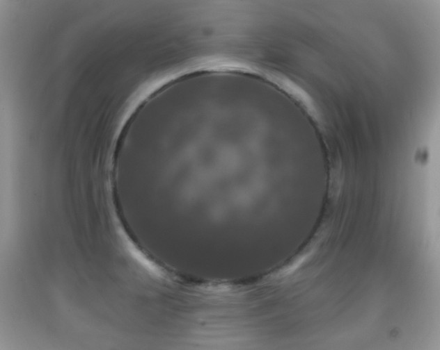 X0000091951231200709061234