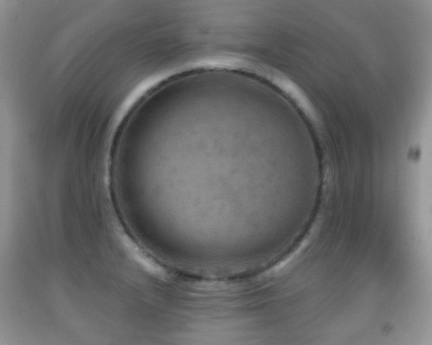 X0000091951232200709061234