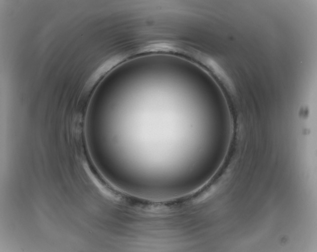X0000091951233200709061234