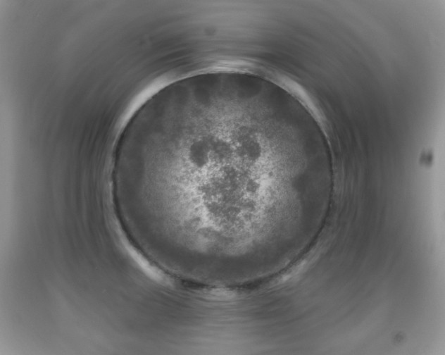 X0000091951235200709061234