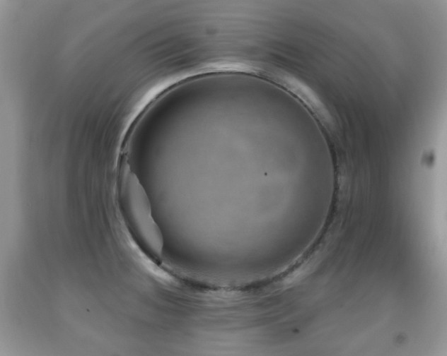 X0000091951236200709061234