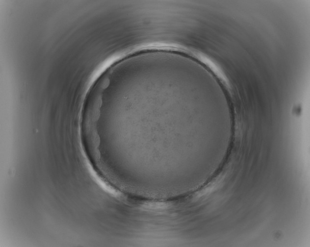 X0000091951237200709061234