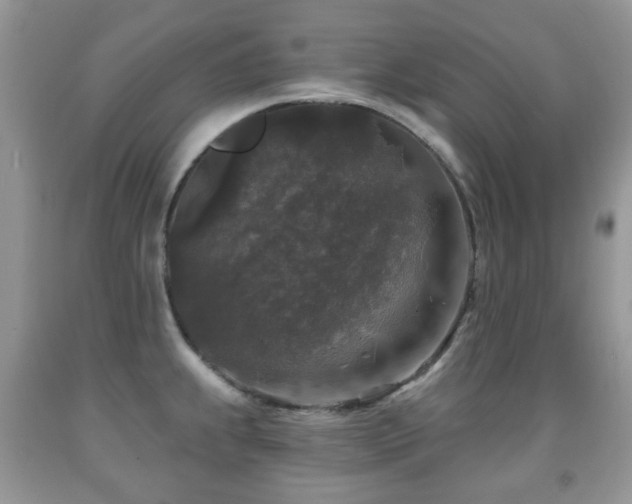 X0000091951239200709061234
