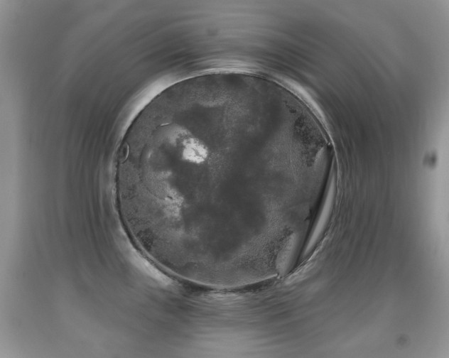 X0000091951243200709061234