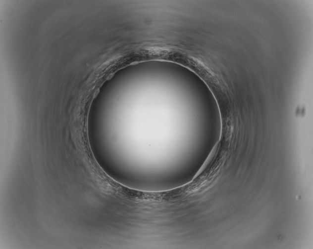X0000091951249200709061233
