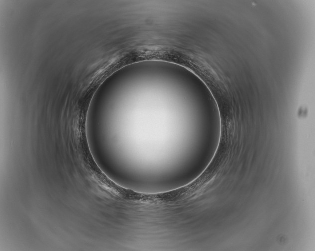 X0000091951250200709061233