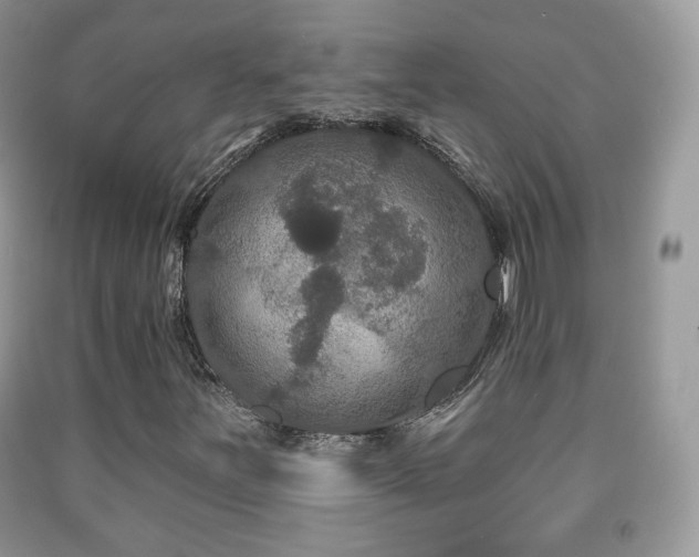 X0000091951251200709061233