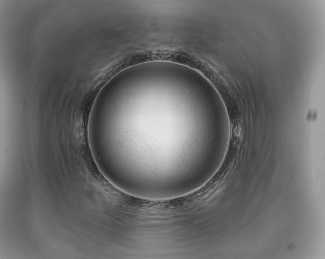 X0000091951252200709061233