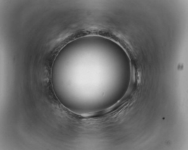 X0000091951253200709061233