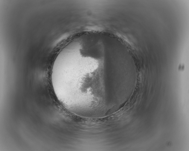 X0000091951254200709061233