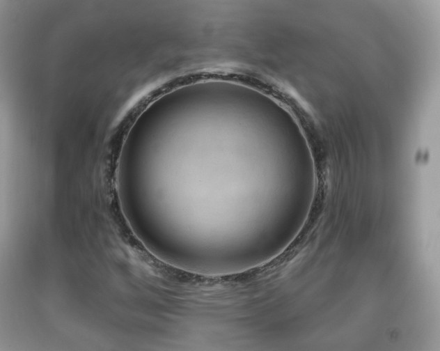 X0000091951256200709061233