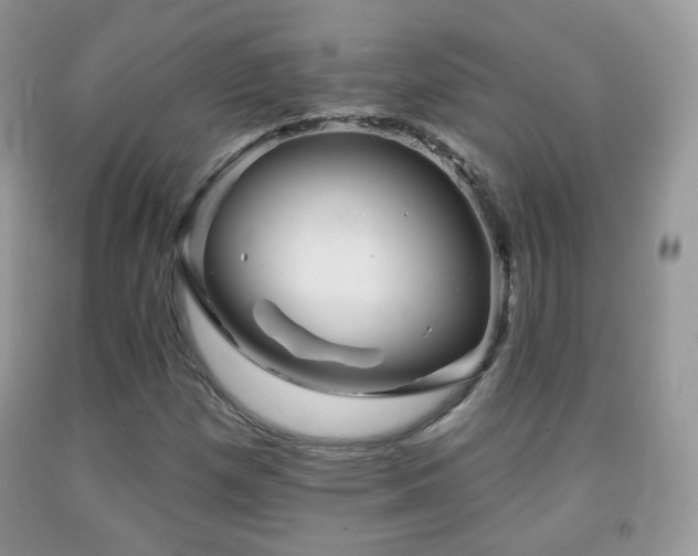 X0000091951257200709061233