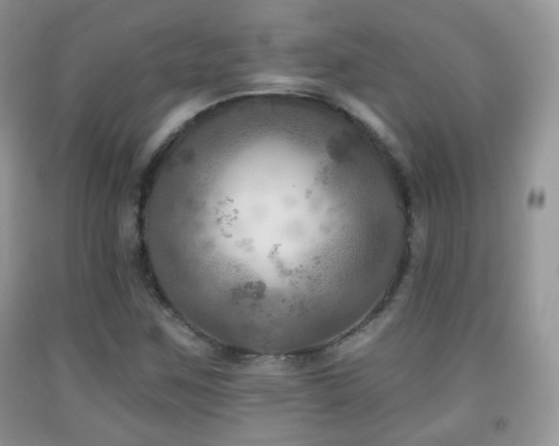 X0000091951259200709061233