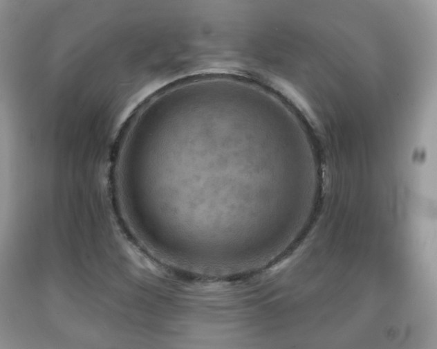 X0000091951260200709061233