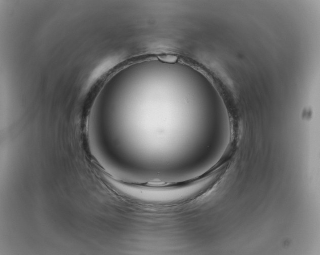 X0000091951261200709061233