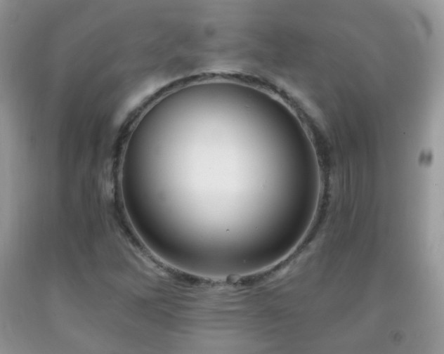 X0000091951262200709061233