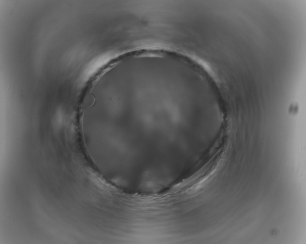 X0000091951263200709061233