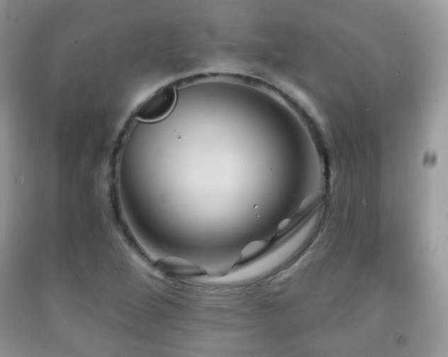 X0000091951264200709061233