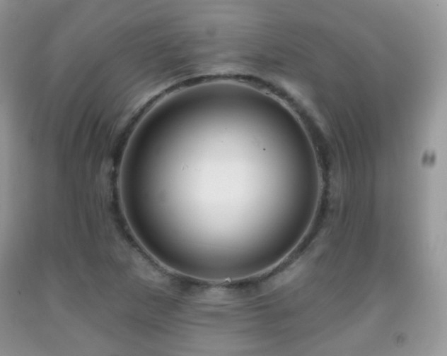 X0000091951265200709061233