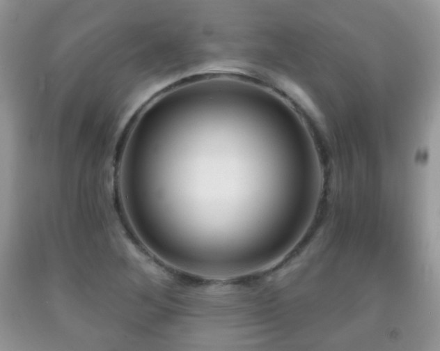 X0000091951268200709061233