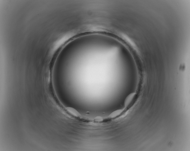 X0000091951269200709061233