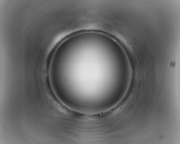 X0000091951270200709061233