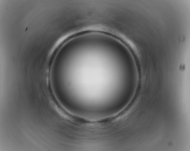 X0000091951272200709061233