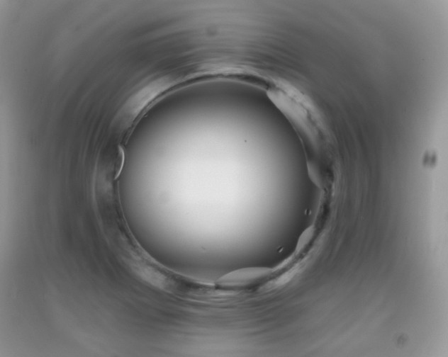 X0000091951273200709061233