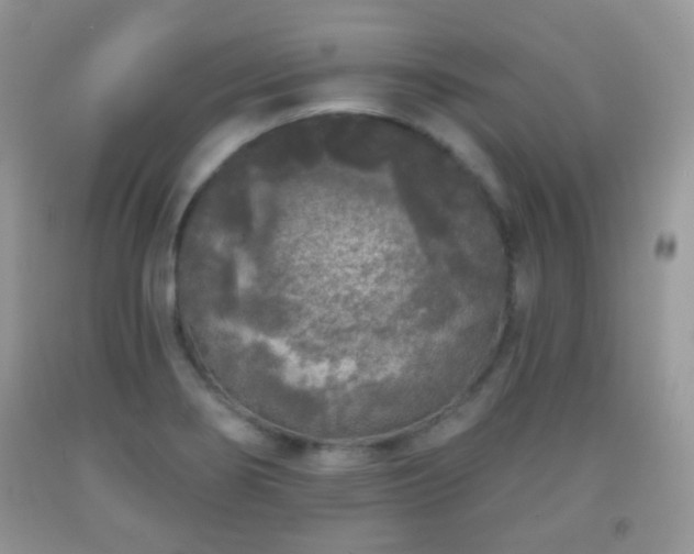 X0000091951274200709061233