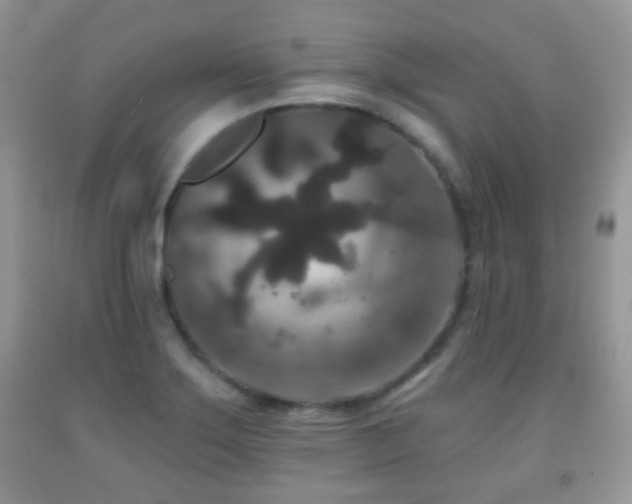 X0000091951275200709061233