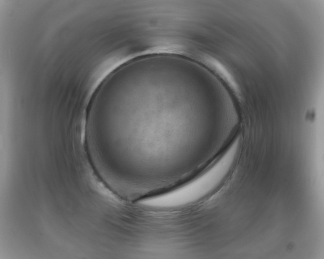X0000091951276200709061233