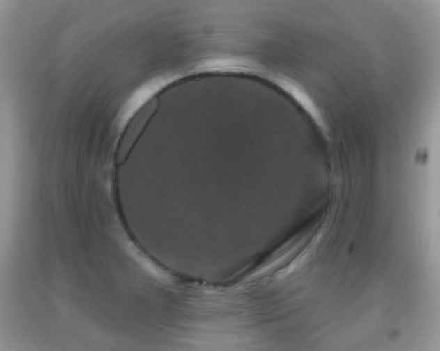 X0000091951277200709061233