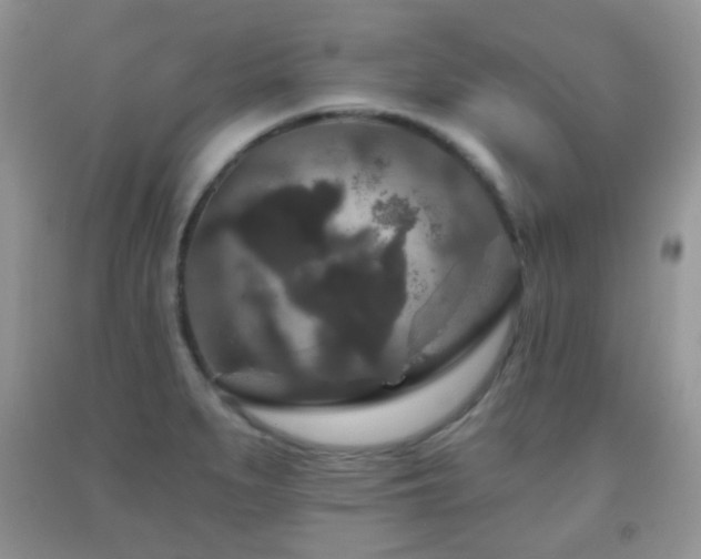 X0000091951279200709061233