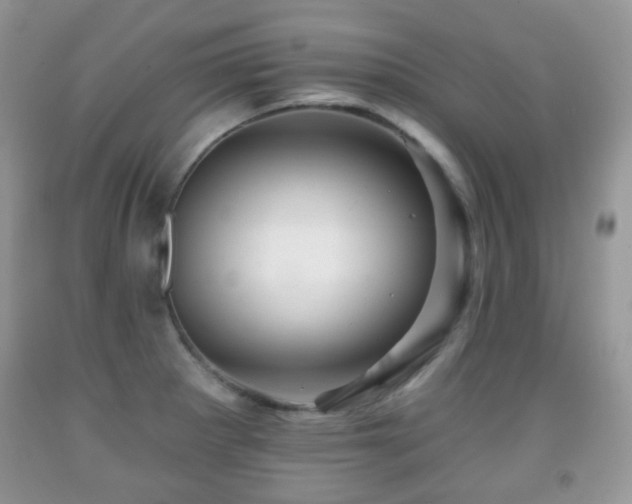 X0000091951281200709061233