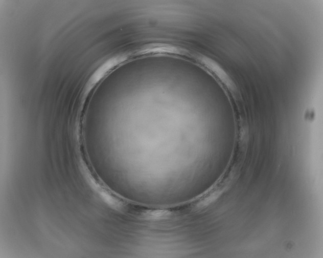X0000091951282200709061233